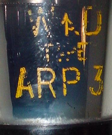ARP3_2_D4